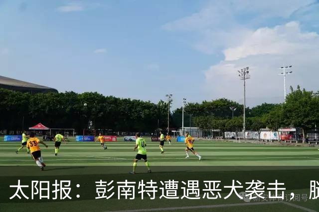 太阳报：彭南特遭遇恶犬袭击，腿部缝50余针，自家爱犬救主