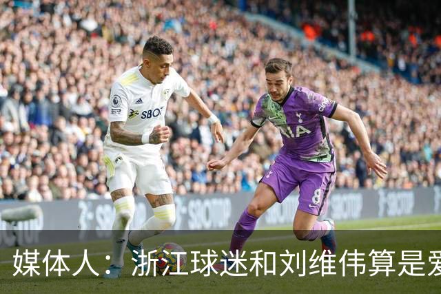 媒体人：浙江球迷和刘维伟算是爱之深恨之切 这些年一直恩怨不断