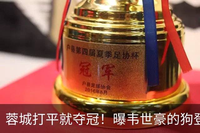 蓉城打平就夺冠！曝韦世豪的狗登上看台TIFO：见识见识你的本事