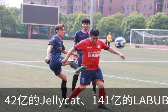 42亿的Jellycat、141亿的LABUBU、66亿的Fuggler，谁在靠“毛绒”真赚钱？｜雷报